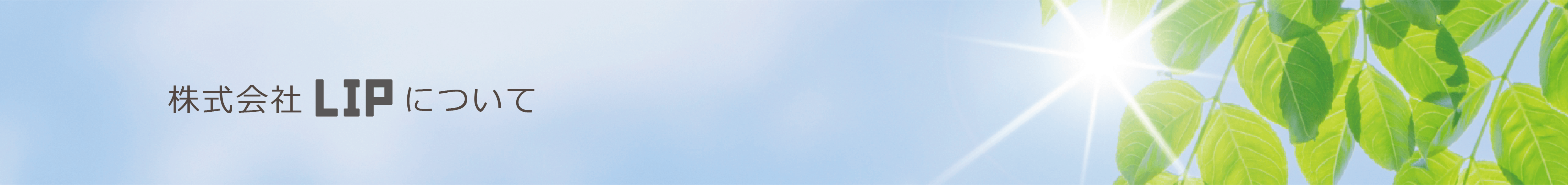 株式会社LIPについて